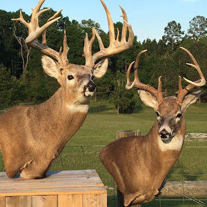 Meet your Posher, Jack